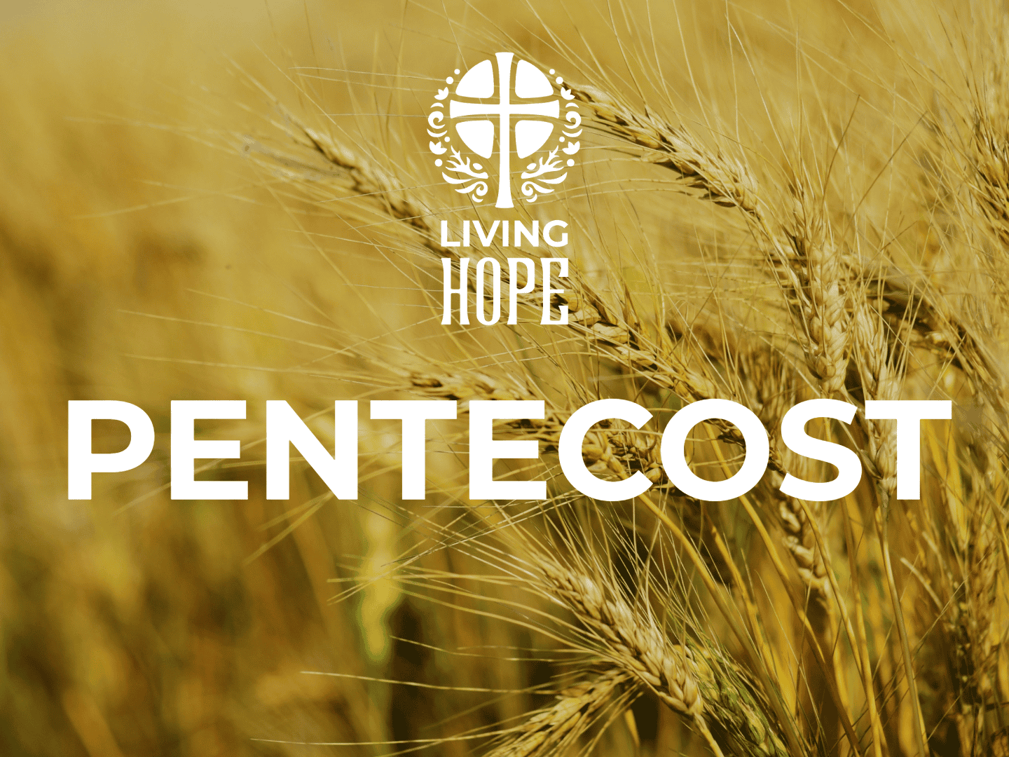 Pentecost Feast 2025